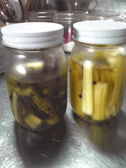 diary090715.gif