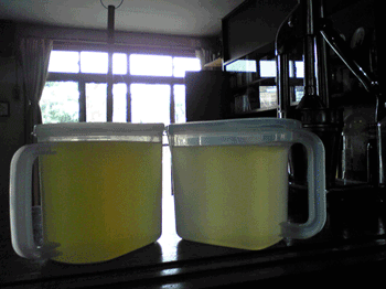 food090705_3.gif