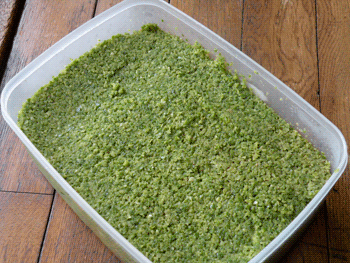 food091011.gif