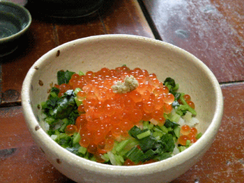 food091024.gif